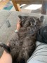 Arya_Khaleesi (5)